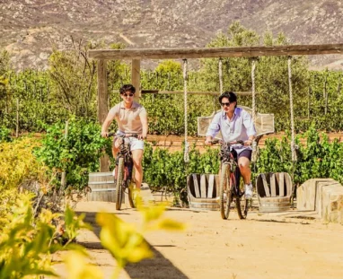 FINCA TRE WEB-17